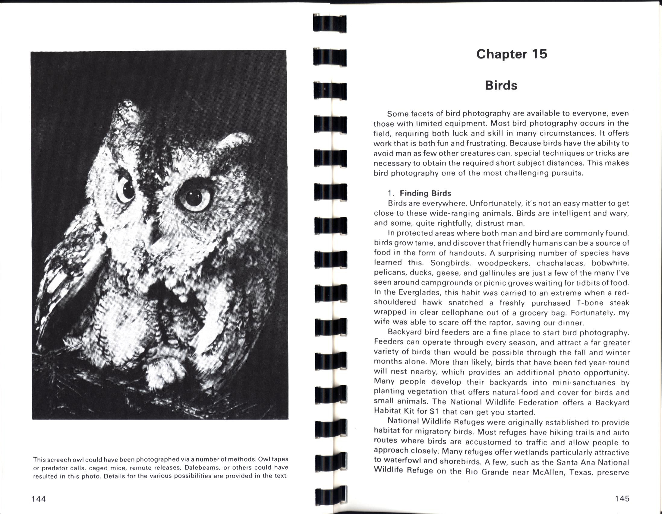 A PRACTICAL GUIDE TO PHOTOGRAPHING AMERICAN WILDLIFE. Misc5156h